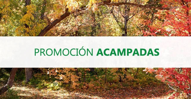 Descuento por noche en Acampadas