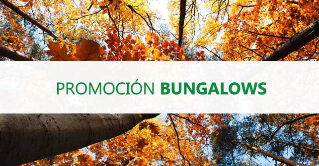 Promoción Bungalow Automne / Hiver 23-24