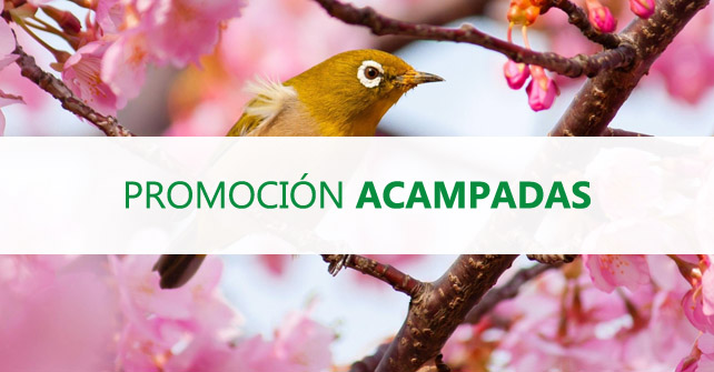 Promotion Camping